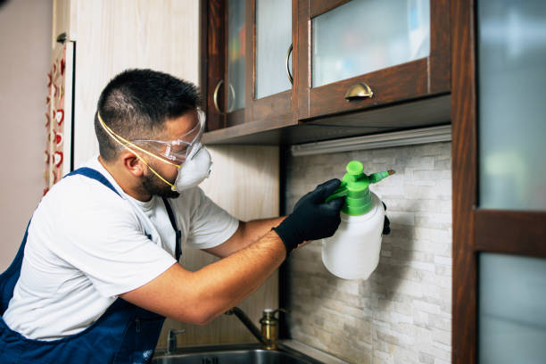 Best Pest Inspection Near Me  in Fort Hood, TX