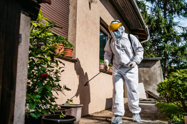 Best Pest Control for Homes  in Fort Hood, TX