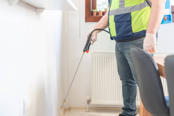 Best Flea Control Services  in Fort Hood, TX