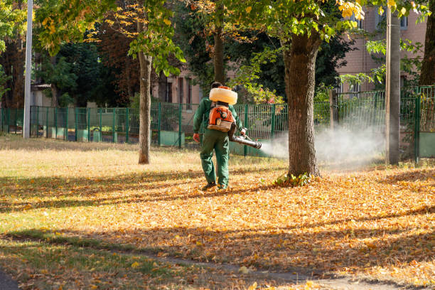 Best Ant Control Services  in Fort Hood, TX