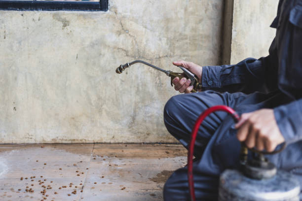 Best Best Pest Control Companies  in Fort Hood, TX