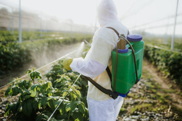 Best Pest Control Near Me  in Fort Hood, TX